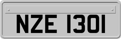 NZE1301