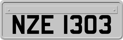 NZE1303