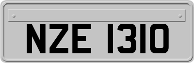 NZE1310