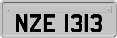 NZE1313