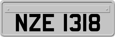 NZE1318