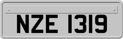 NZE1319