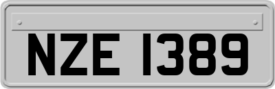 NZE1389