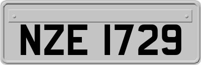 NZE1729