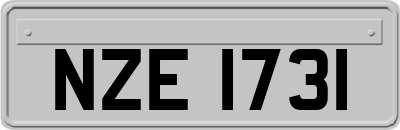 NZE1731