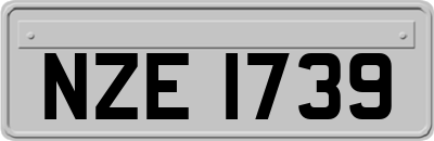 NZE1739