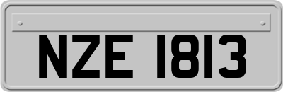 NZE1813