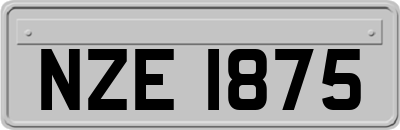 NZE1875