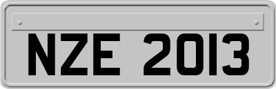 NZE2013
