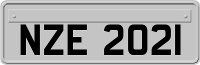 NZE2021