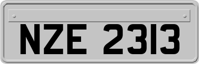 NZE2313