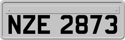 NZE2873