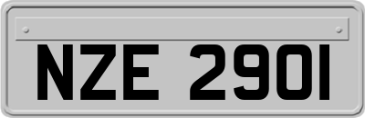 NZE2901