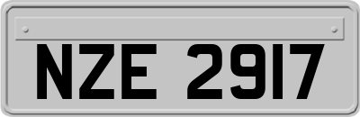 NZE2917