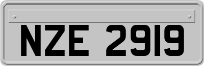 NZE2919