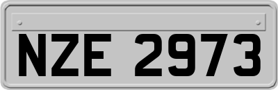 NZE2973