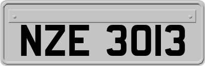 NZE3013