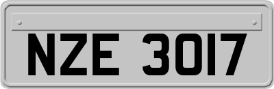 NZE3017