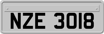 NZE3018