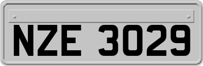 NZE3029