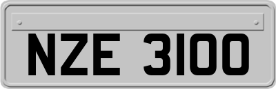 NZE3100
