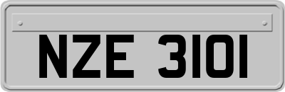 NZE3101
