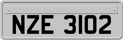 NZE3102