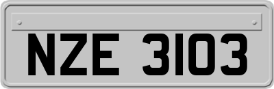 NZE3103