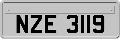 NZE3119