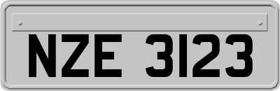 NZE3123