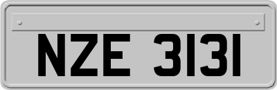 NZE3131