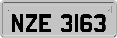 NZE3163
