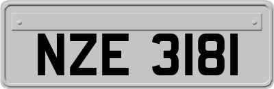 NZE3181