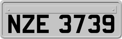 NZE3739