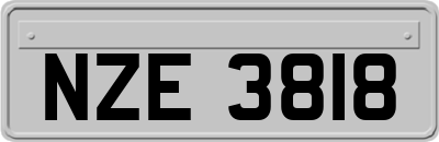 NZE3818