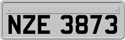 NZE3873