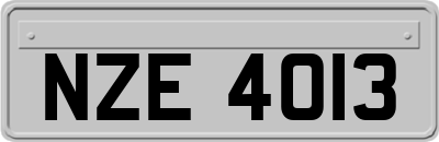 NZE4013