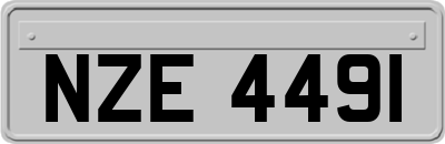 NZE4491
