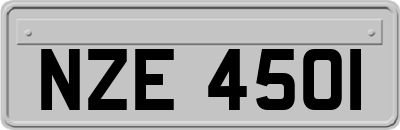 NZE4501