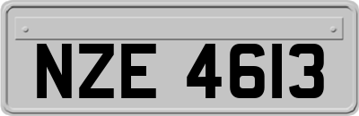 NZE4613