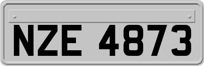 NZE4873