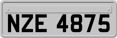 NZE4875