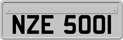 NZE5001