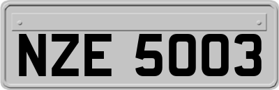 NZE5003