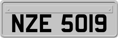 NZE5019