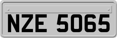 NZE5065