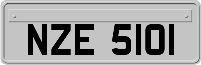 NZE5101