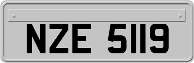 NZE5119