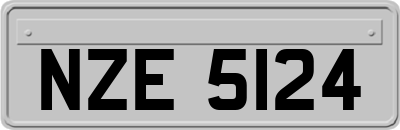 NZE5124