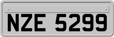 NZE5299